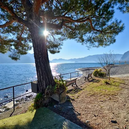 At The Lake * Acquaseria
